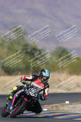 media/Nov-11-2023-SoCal Trackdays (Sat) [[efd63766ff]]/Turn 7 (2pm)/